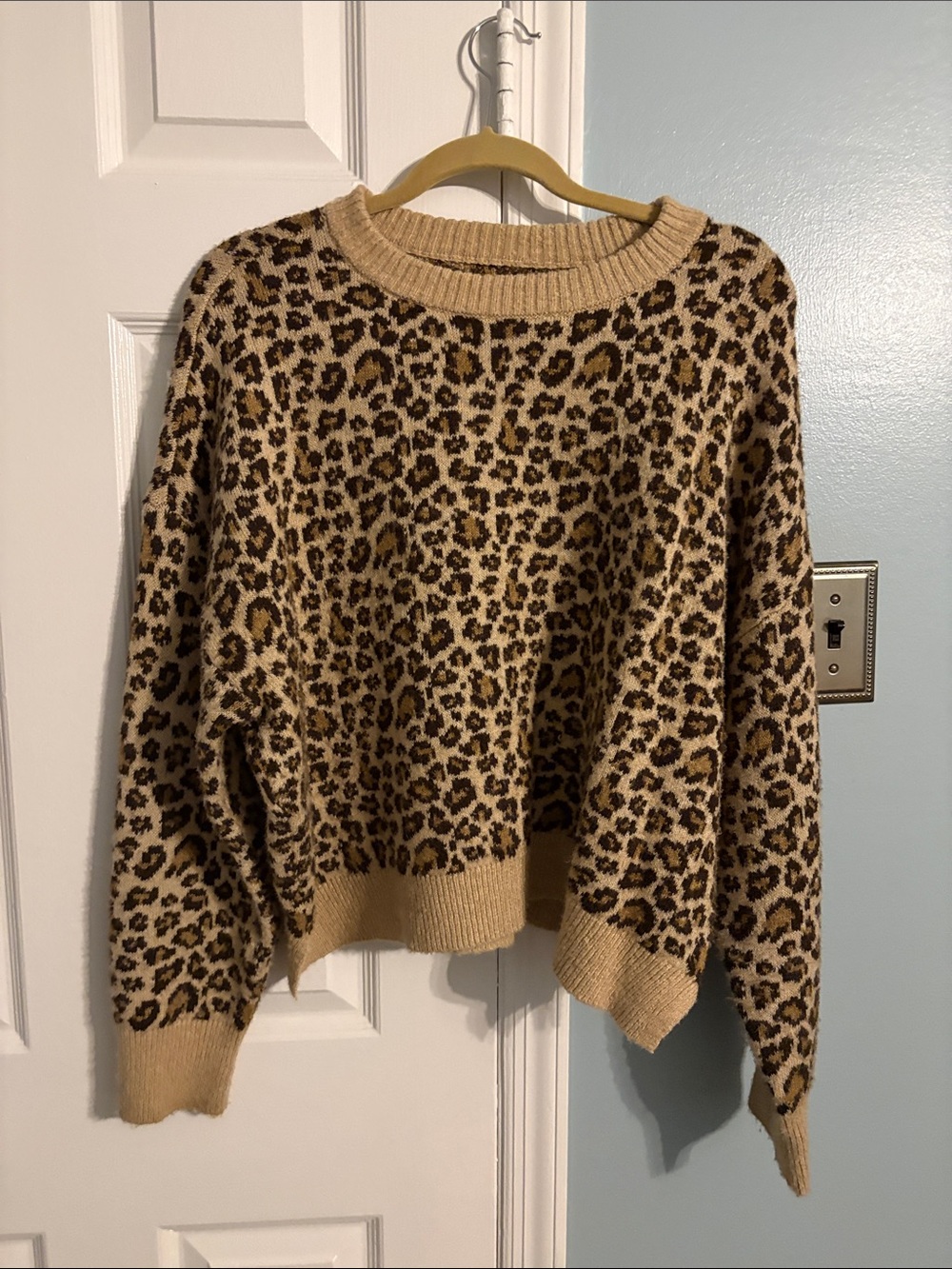 American Eagle Leopard Sweater